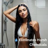 Innovative Natural Carbon Block Shower Head Replacement cartridges 4 Pack (6-Months Filter Life) Innovative Technology Products Corp